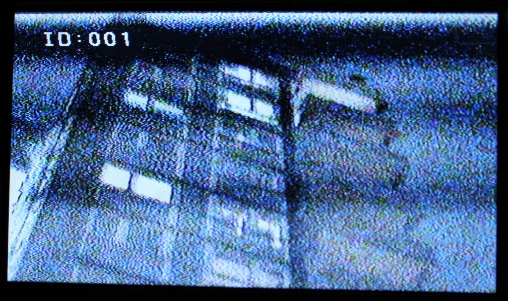 CCTV image taken from estate camera